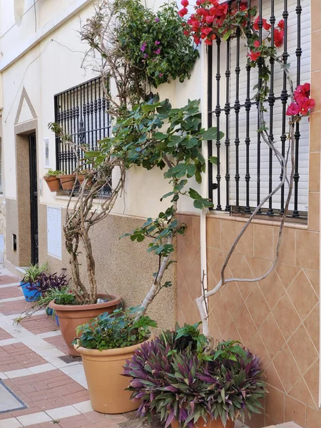 晴れた日にスペイン南部の花器のある通り — ストック写真