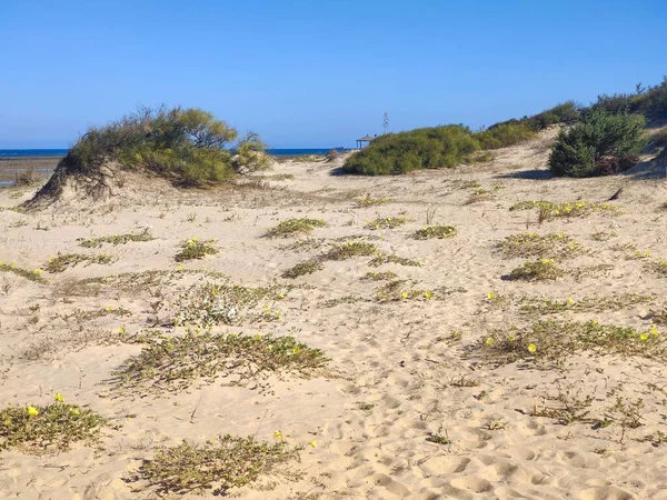 Natuur Het Zand Bij Het Strand Het Zuiden Van Spanje — Stockfoto