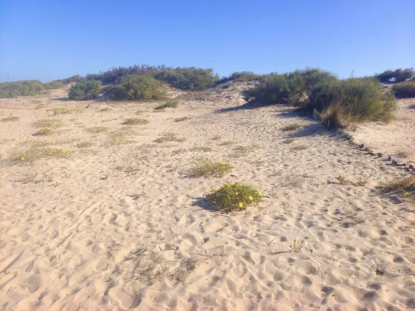 Natureza Areia Perto Praia Sul Espanha Dia Ensolarado — Fotografia de Stock