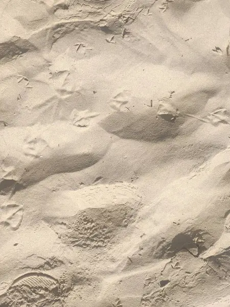 形成背景的砂质 — 图库照片