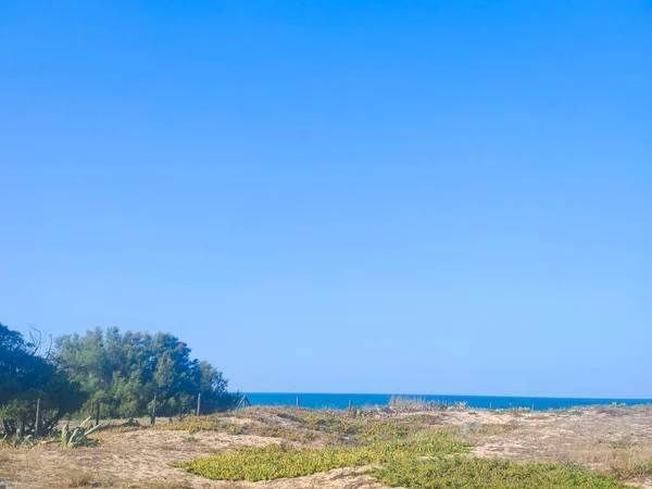 Naturen Sanden Nära Stranden Södra Spanien Solig Dag — Stockfoto
