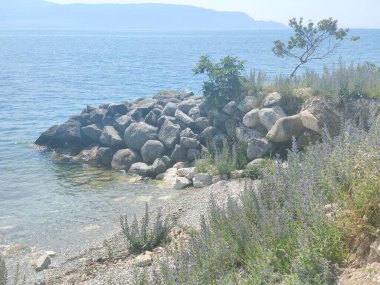 Cyus 'un deniz kıyısı, thsos adası.