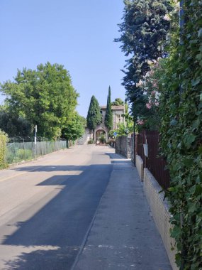 Boş bir caddenin dikey görüntüsü. Güneş ışığı altında yeşil bitkiler.