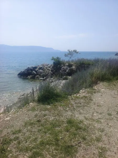 Orilla Del Mar Del Mar Negro Crimea —  Fotos de Stock