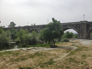 İspanya 'nın merkezindeki Tormes Nehri bulutlu bir günde bitki örtüsüyle çevrilidir.