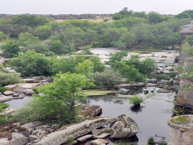 İspanya 'nın merkezindeki Tormes Nehri bulutlu bir günde bitki örtüsüyle çevrilidir.