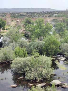 İspanya 'nın merkezindeki Tormes Nehri bulutlu bir günde bitki örtüsüyle çevrilidir.