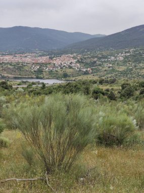 Bulutlu bir günde Avila 'da çayırlar