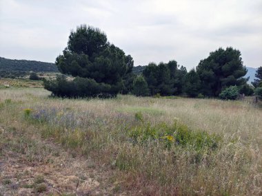 Bulutlu bir günde Avila 'da çayırlar