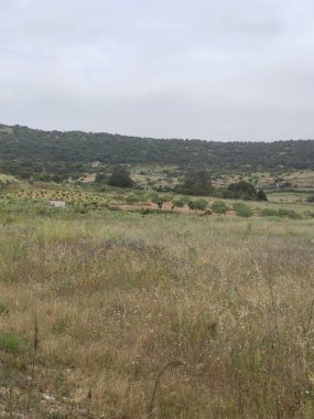 Bulutlu bir günde Avila 'da çayırlar