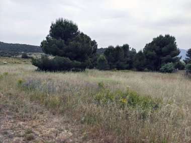 Bulutlu bir günde Avila 'da çayırlar