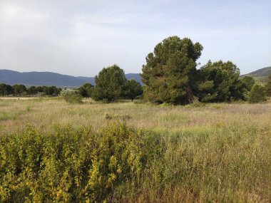 Bulutlu bir günde Avila 'da çayırlar