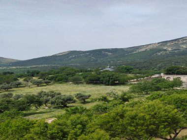 Güneşli bir günde Madrid 'de San Lorenzo del Escorial. Bahçeli eski sarayı