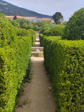 Güneşli bir günde Madrid 'de San Lorenzo del Escorial. Bahçeli eski sarayı