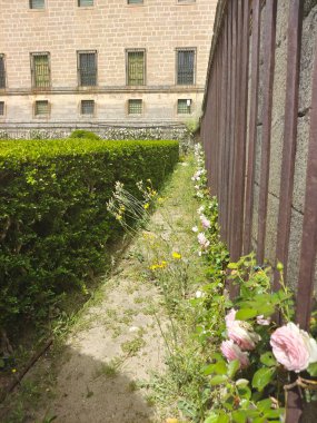 Güneşli bir günde Madrid 'de San Lorenzo del Escorial. Bahçeli eski sarayı