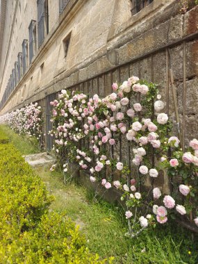 Güneşli bir günde Madrid 'de San Lorenzo del Escorial. Bahçeleri ve çiçekleri olan eski sarayı.