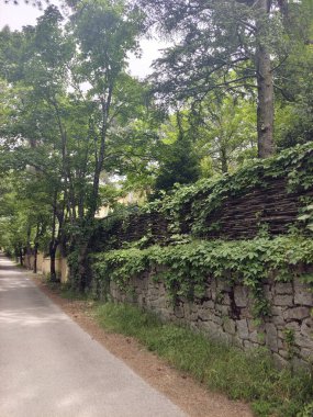 İspanya 'nın merkezindeki Segovia' da ağaçlarla dolu bulutlu bir günde doğa.