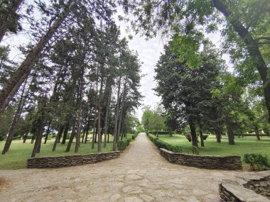 Segovia 'da bir kış günü ağaçlar