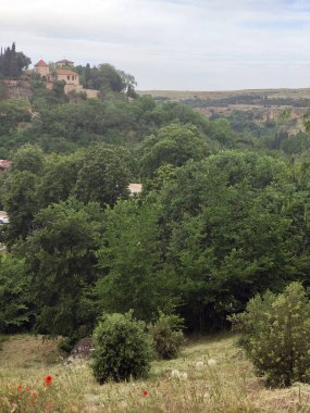 Segovia 'da bir kış günü ağaçlar