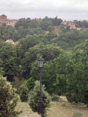 Segovia 'da bir kış günü ağaçlar