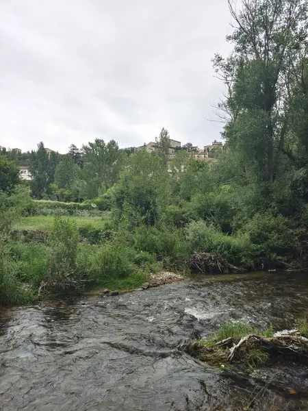 Segovia 'da bir kış günü ağaçlar