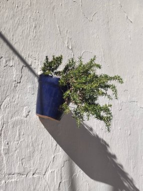 Arkaplan oluşturan duvarda bırakır