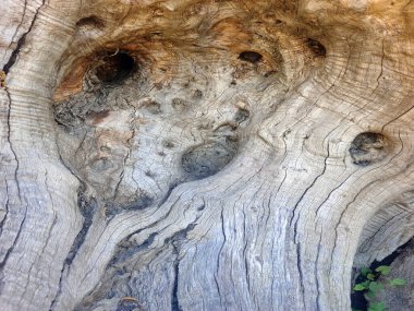 Arkaplan oluşturan ahşap doku