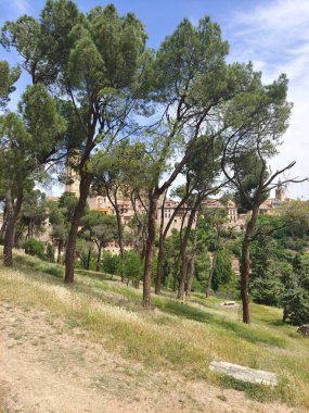 Segovia tepesinde ağaçlar ve İspanya 'nın sondajında ortaçağ şehri.