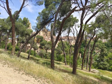 Segovia tepesinde ağaçlar ve İspanya 'nın sondajında ortaçağ şehri.