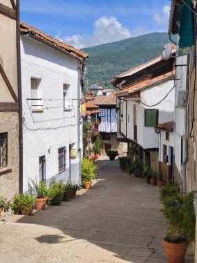 Güneşli bir günde sokakta çiçekli İspanyol köyü