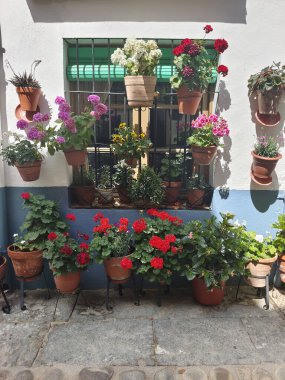 İspanya 'nın güneyinde güneşli bir günde çiçekli bir cadde