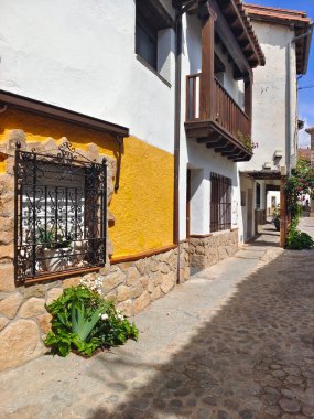 İspanya 'nın güneyinde güneşli bir günde çiçekli bir cadde