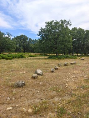 İspanya 'nın güneyinde ilkbaharda ağaçlar