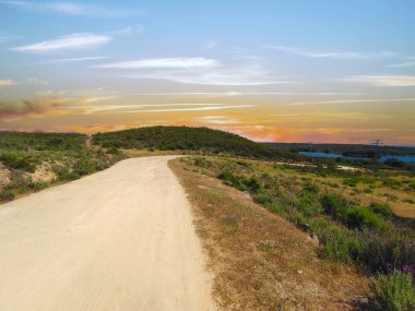 İspanya 'nın güneyinde günbatımında ağaçlar doğada