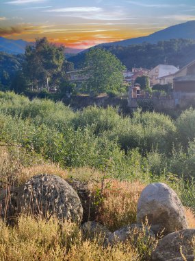 İspanya 'nın güneyinde günbatımında ağaçlar doğada