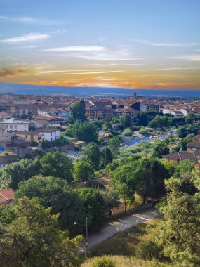 İspanya 'nın güneyinde günbatımında ağaçlar doğada