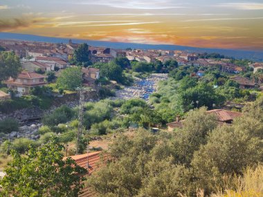 İspanya 'nın güneyinde günbatımında ağaçlar doğada