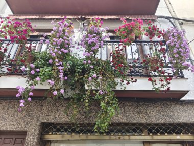 İspanya 'nın güneyindeki cephe evinin penceresinde çiçekler var.