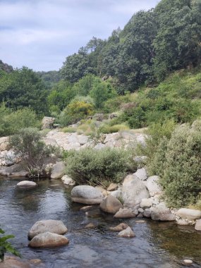 İspanya 'nın merkezinde güneşli bir günde dağlarda nehir