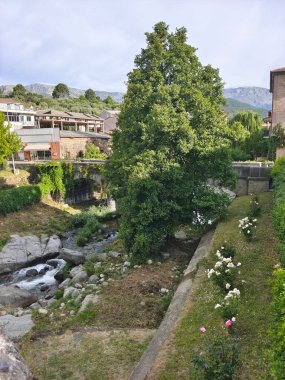 İspanya 'nın güneyinde güneşli bir günde nehir