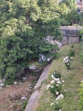 İspanya 'nın güneyinde güneşli bir günde nehir