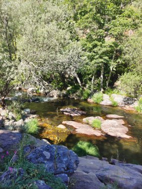 River in the mountains in a sunny day in the center of Spain clipart