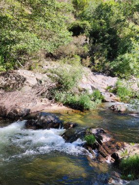 İspanya 'nın merkezinde güneşli bir günde dağlarda nehir