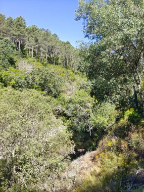 İspanya 'nın merkezinde güneşli bir günde dağlarda nehir