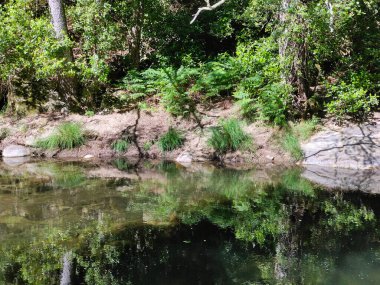 İspanya 'nın merkezinde güneşli bir günde dağlarda nehir