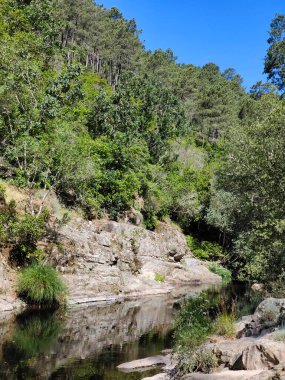 İspanya 'nın merkezinde güneşli bir günde dağlarda nehir