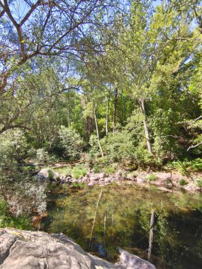 İspanya 'nın merkezinde güneşli bir günde dağlarda nehir