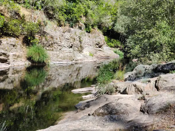 stock image River in the mountains in a sunny day in the center of Spain