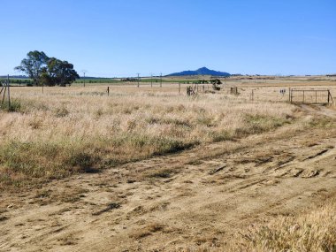 Güneşli bir günde vadideki çayırlar