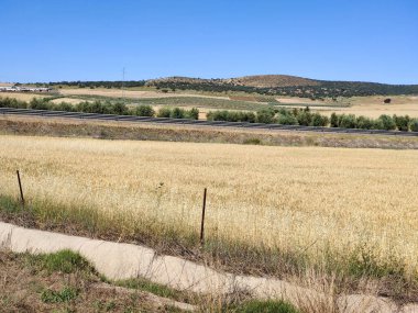 Güneşli bir günde vadideki çayırlar